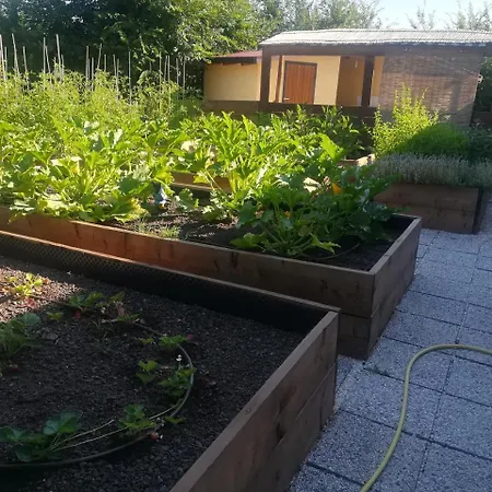 Agriturismo Il Ciuffo