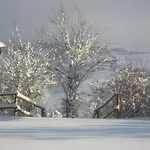 Agriturismo Il Ciuffo Κατάλυμα σε φάρμα Pianoro