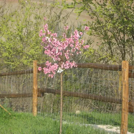 Vakantieboerderij Agriturismo Il Ciuffo *