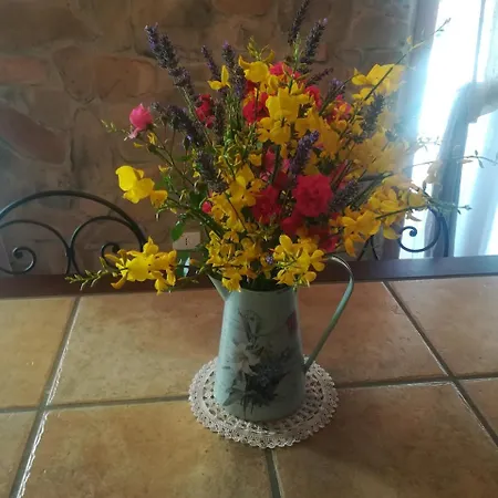 Agriturismo Il Ciuffo Vakantieboerderij