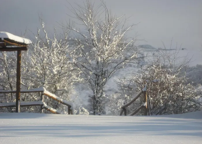 Agriturismo Il Ciuffo Farm stay Pianoro