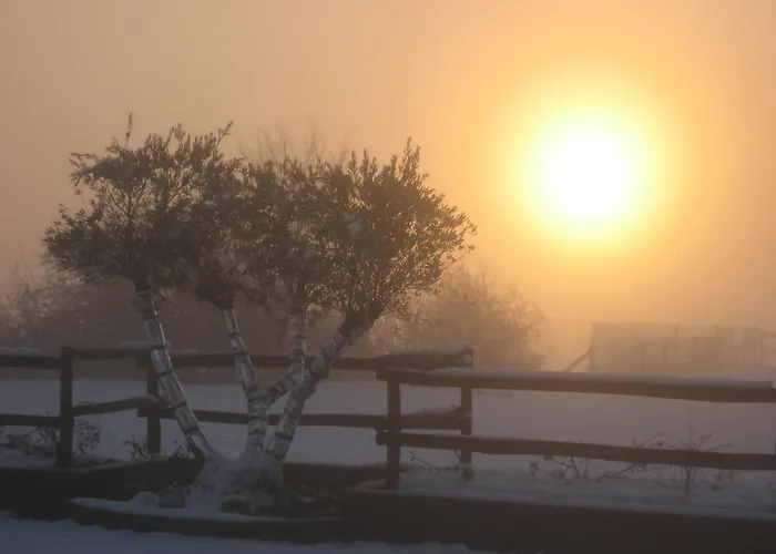 Agriturismo Il Ciuffo בית חווה פיאנורו