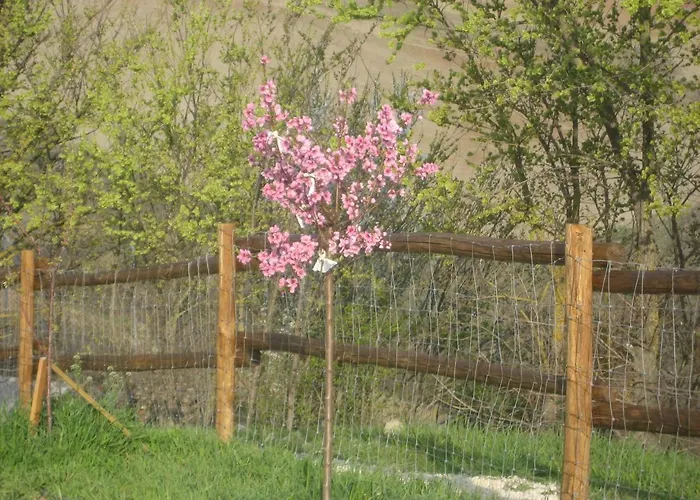 בית חווה Agriturismo Il Ciuffo *