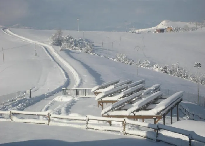 Agriturismo Il Ciuffo Farma *
