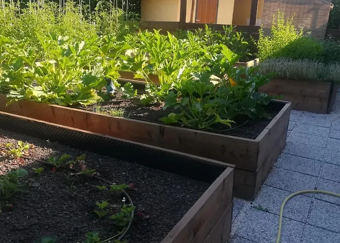 Agriturismo Il Ciuffo